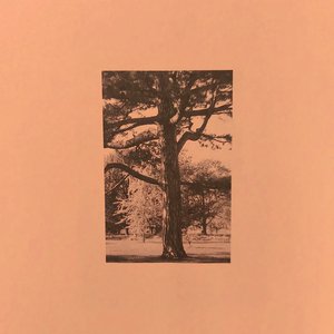 《泡在我家看漫画》黑田
